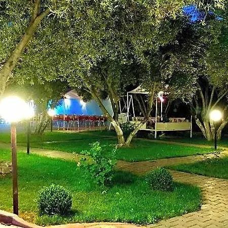 Nature 3*