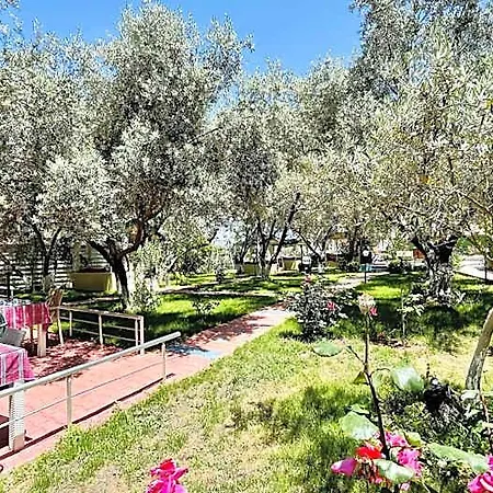 Nature Otel